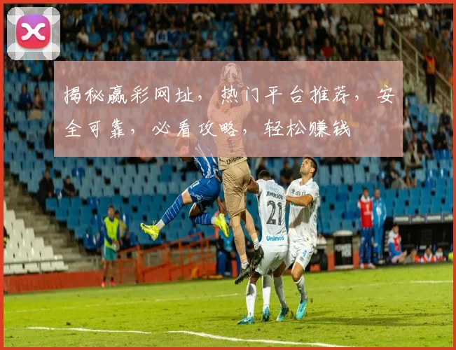 揭秘赢彩网址，热门平台推荐，安全可靠，必看攻略，轻松赚钱